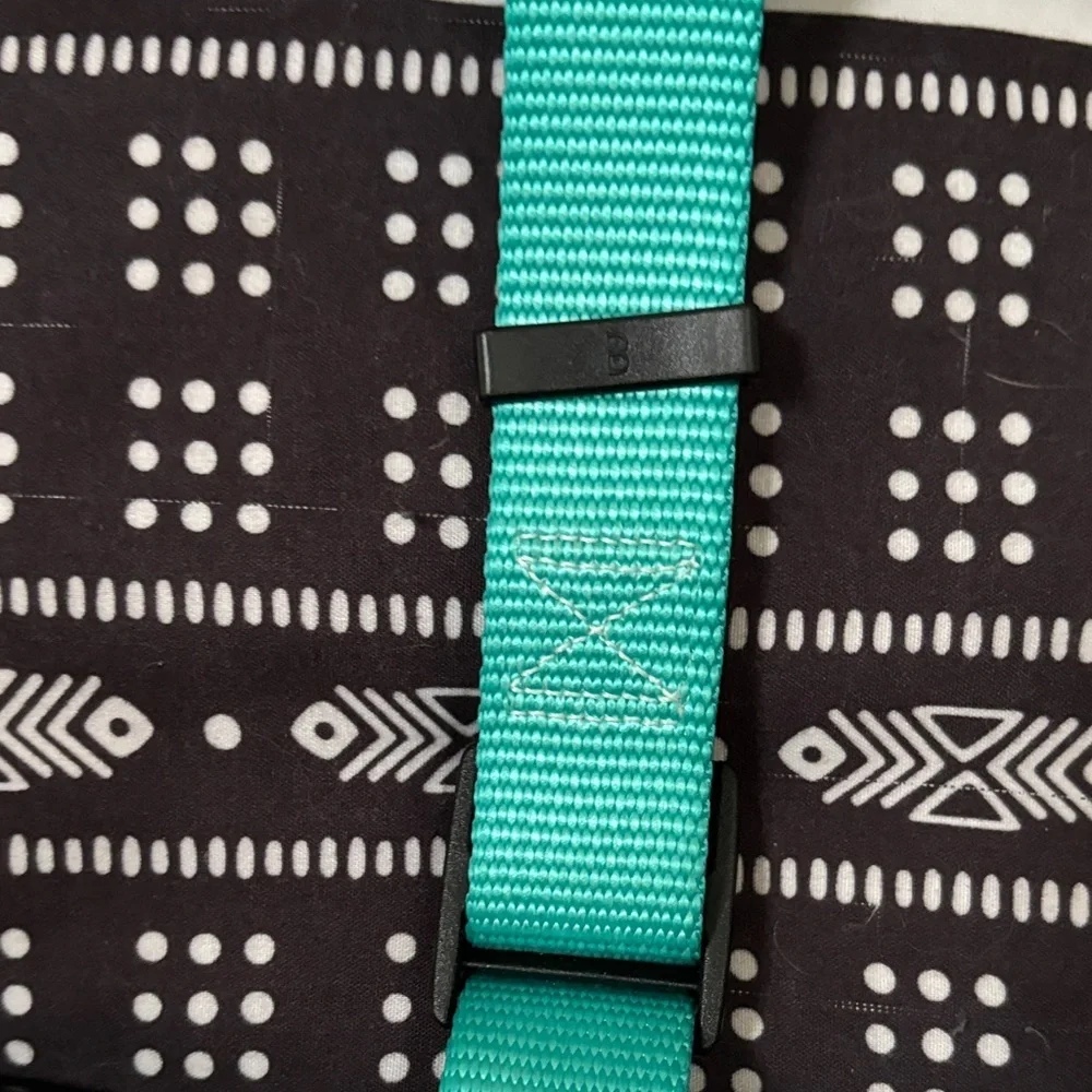 Teal No Pull Dog Harness
